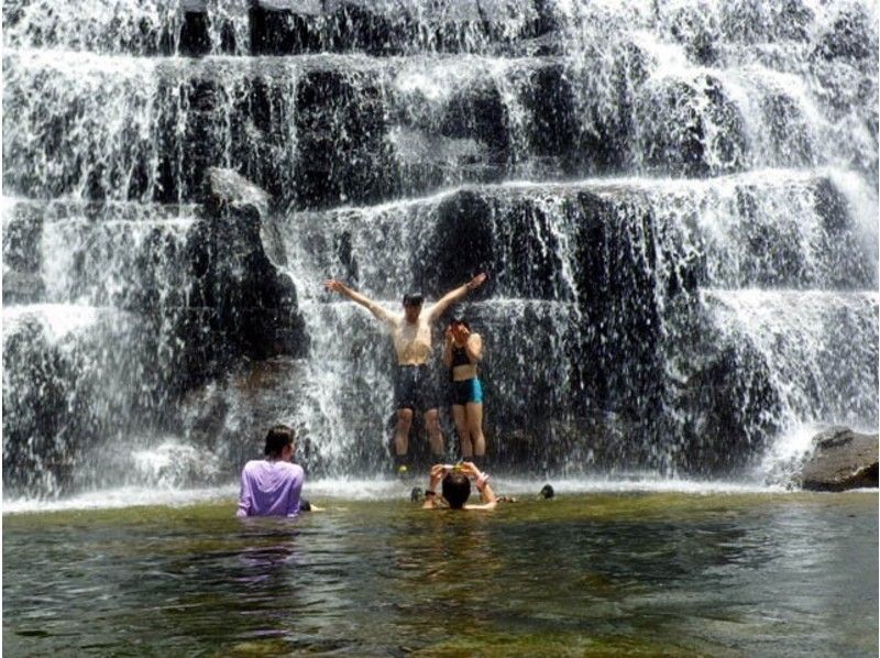 【沖縄・西表島】最奥部に圧巻のマヤグスクの滝へ！トレッキングツアーの紹介画像