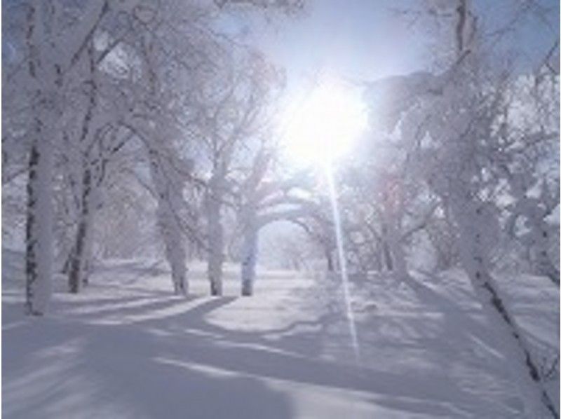 【北海道・旭川】雪の上を歩いてみよう！スノーシューハイク～７名様迄の少人数制でご要望にお応えします！の紹介画像
