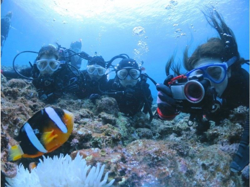 [Miyakojima] Boat experience to enjoy alone Diving! Exclusive guide guides!