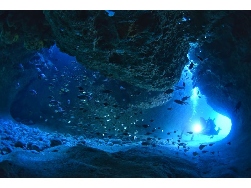 [미야코지마] 저희 혼자서 즐길 수있는 보트 체험다이빙! 전속 가이드가 안내! 푸른 동굴 요청 가능!の紹介画像