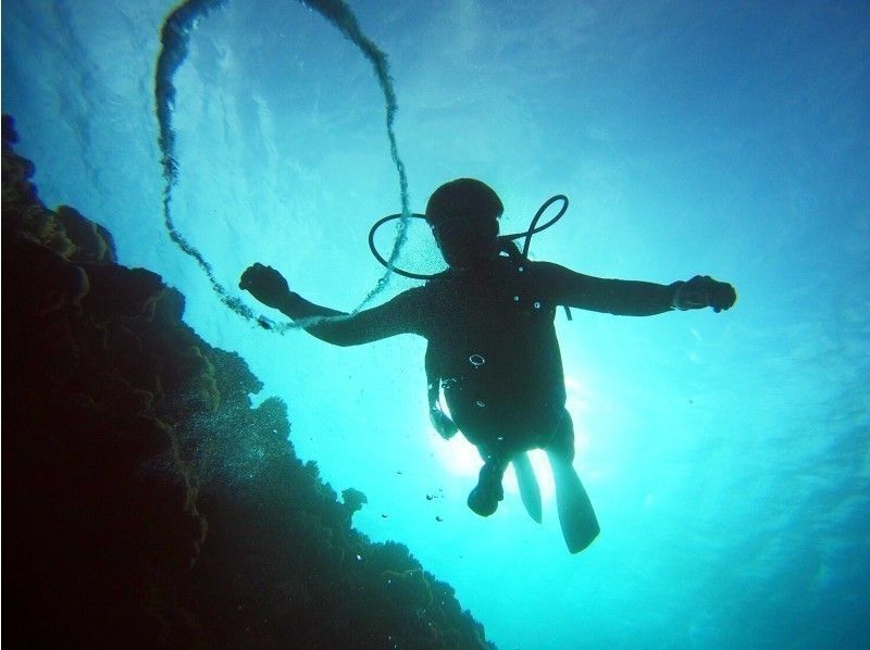 【 沖縄 ·藍洞·廉價】私人旅遊藍洞海灘體驗深潛照片和動畫數據免費贈送♪の紹介画像