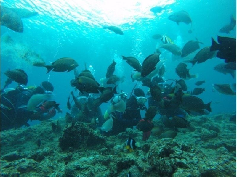 【 冲绳 ·蓝洞·廉价】私人旅游蓝洞海滩体验深潜照片和动画数据免费赠送♪の紹介画像