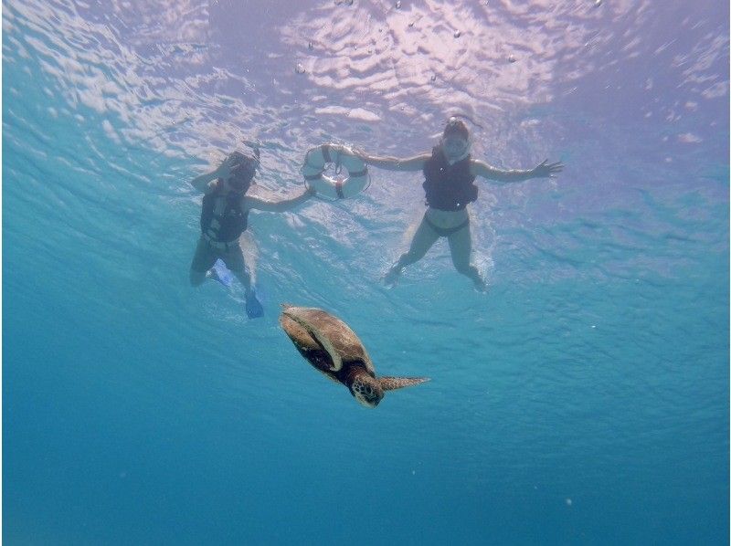 [오키나와&middot;미야코지마] 인기 NO.1! SUP + 바다 거북스노클링포토 투어 (반일코스)の紹介画像