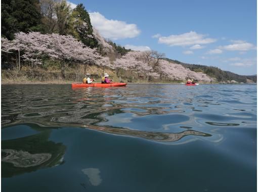 【滋賀・奥琵琶湖】お花見カヌー体験ツアー(半日コース) 【滋賀・奥琵琶湖】お花見カヌー体験ツアー(半日コース)