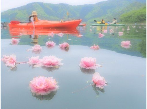 【滋賀・奥琵琶湖】お花見カヌー体験ツアー(半日コース) 【滋賀・奥琵琶湖】お花見カヌー体験ツアー(半日コース)