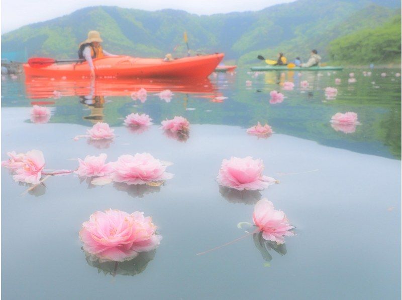 【滋賀・奥琵琶湖】お花見カヌー体験ツアー（半日コース）の紹介画像