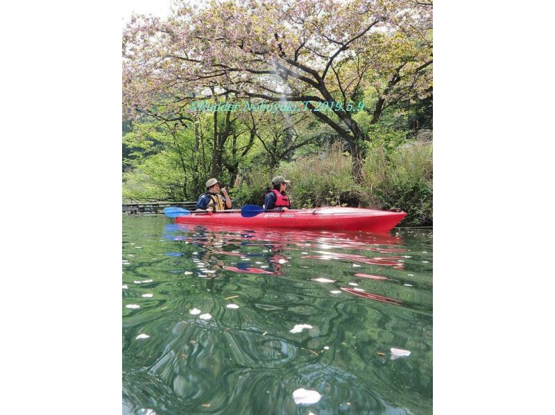 【滋賀・奥琵琶湖】お花見カヌー体験ツアー（半日コース）の紹介画像