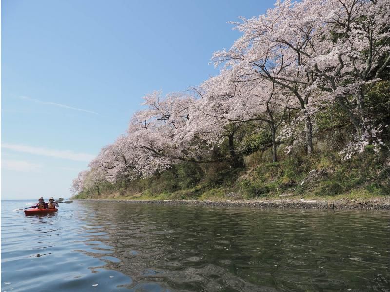 【滋賀・奥琵琶湖】お花見カヌー体験ツアー（半日コース）の紹介画像