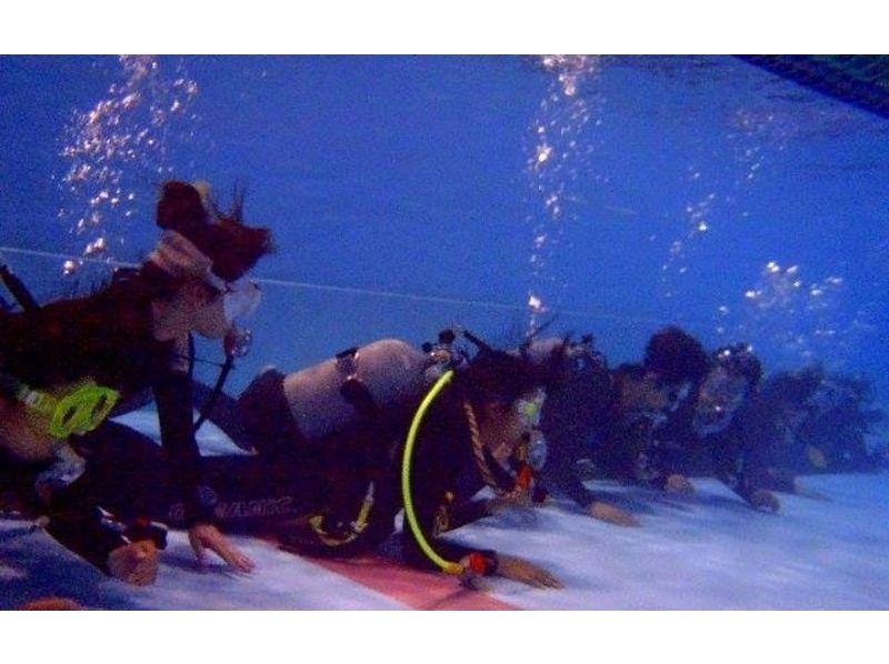 [คันโตชิบะ] ใบอนุญาต PADI Open Water Diverの紹介画像