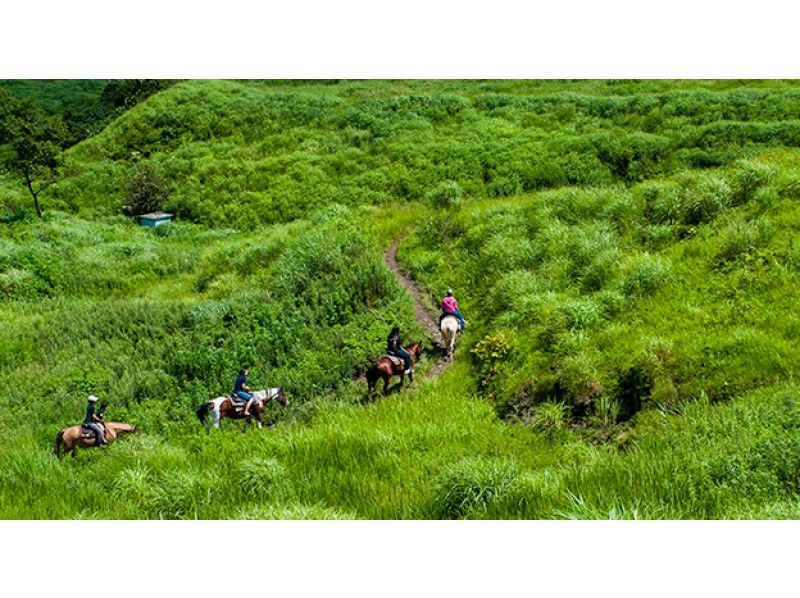 【 熊本 · 阿苏 】 骑马徒步体验，同时希望壮丽的古州山脉。西方课程（约25分钟）の紹介画像