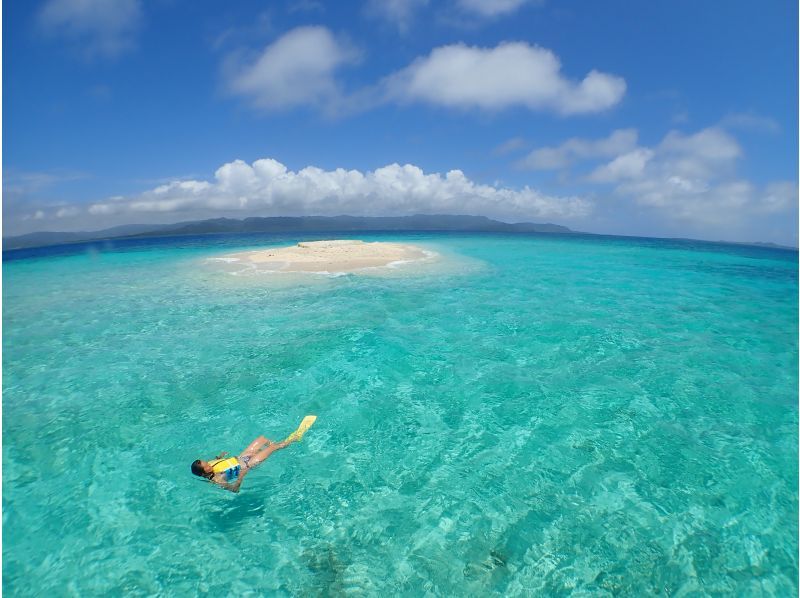 [Okinawa / Ishigaki Island] Recommended for summer! Kuroshima & Panari 1 day snorkelingの紹介画像