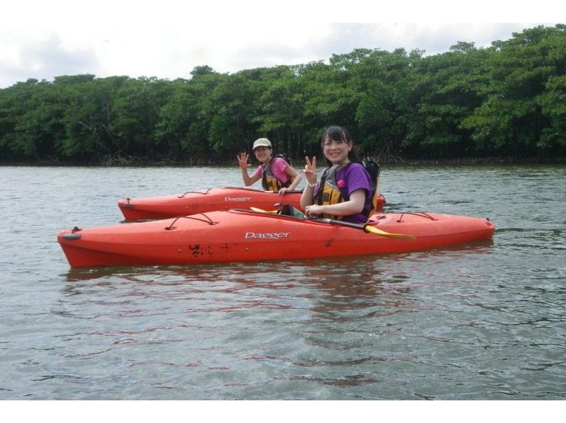 [ 오키나와 · 이리 오모테 섬] 폭포의 절경도 즐길 수있다! 박력 만점 삐나이사라 폭포 카누 & 트레킹 1 일 투어の紹介画像