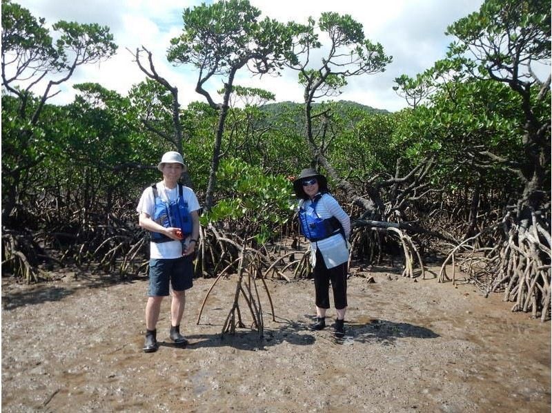 セール実施中【沖縄・西表島】滝の上の絶景も楽しめる！迫力満点ピナイサーラの滝　カヌー&トレッキング1日ツアーの紹介画像