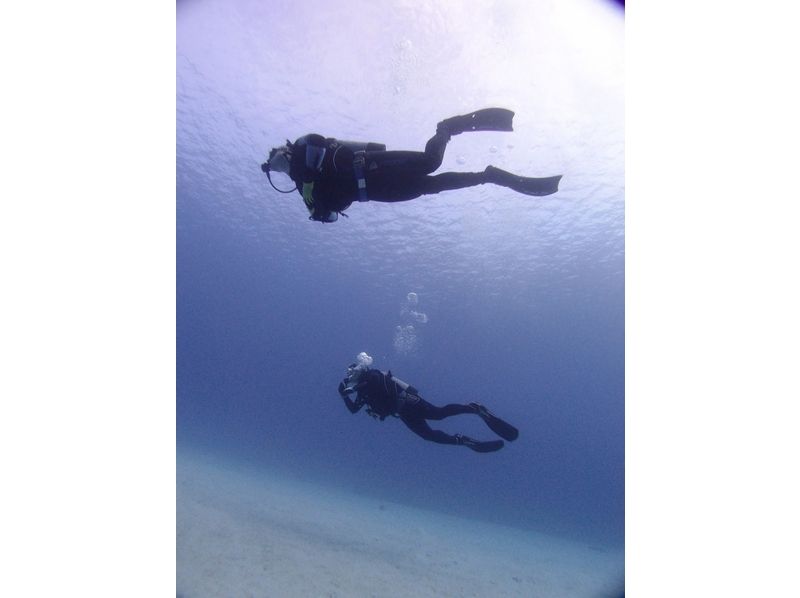 [沖繩北谷]體驗潛水の紹介画像