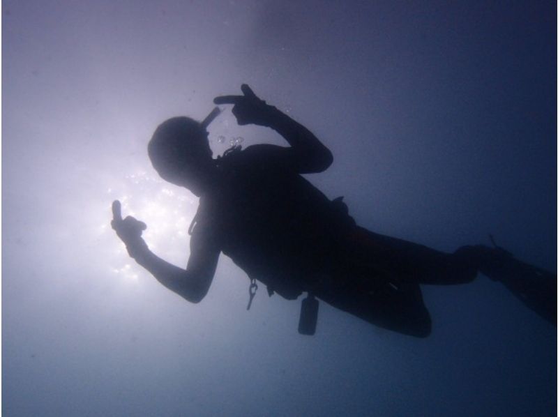 [후쿠오카텐진] 수중의 신비한 세계를 보러 가자! 체험다이빙の紹介画像