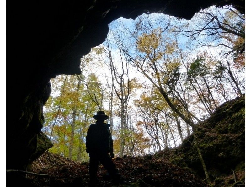新·Aokigahara Jukai·洞穴探險·高級B課程。の紹介画像