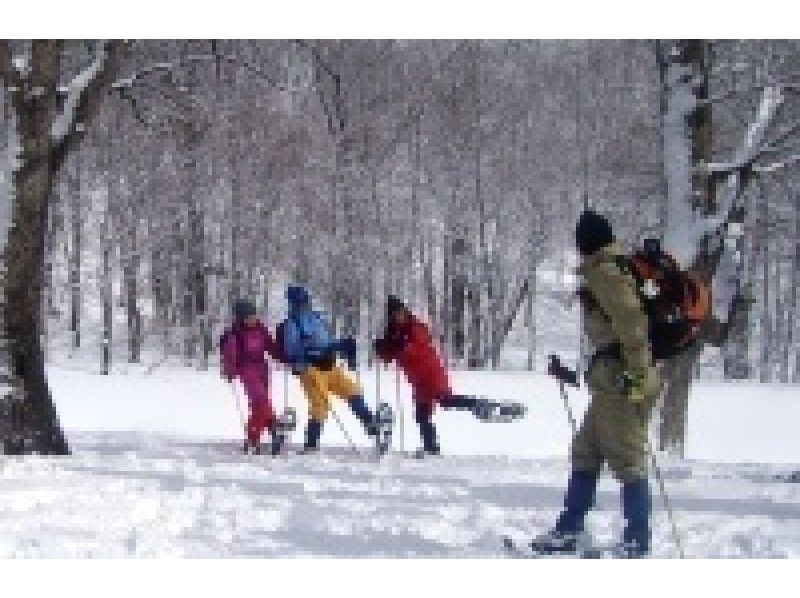 [กุมมะ, Minakami] ทัวร์กิจกรรมเดินหิมะ(Snowshoes)1 วันสำรวจโลกสีเงินของ Minakami! โรงเรียนประถมศึกษาอายุ 70 ปีตกลงด้วยอาหารกลางวันの紹介画像