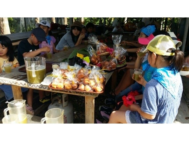 【沖縄・石垣島】自然の甘み！サトウキビ搾り体験の紹介画像