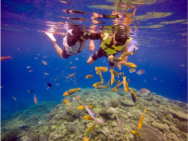 [Departing from the north, landing on Minna Island] Paradise just 15 minutes from the main island! Exciting boat snorkeling & one-day beach tour ★Full of great benefits & round-trip boat ticket included★の紹介画像