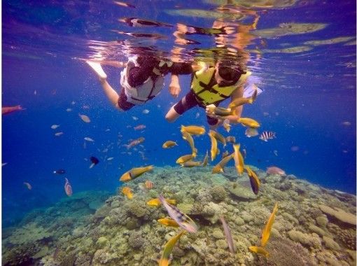 北部発 離島 人気no1 水納島わくわくボートシュノーケリング 日帰り海水浴ツアー アクティビティジャパン