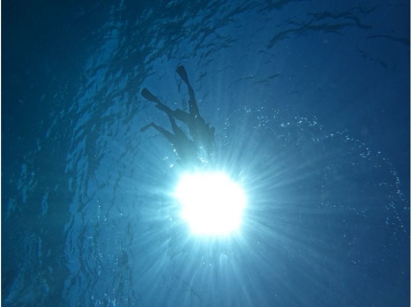 [北部岛屿]人气第一！明纳岛令人兴奋的浮潜和一日海上沐浴之旅の紹介画像