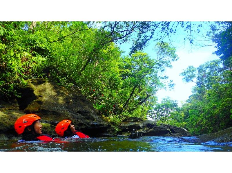 [Okinawa ・ Iriomote Island] Attention now, buzzing popularity! "Canyoning" course (half-day AM · PM 3 hours)の紹介画像