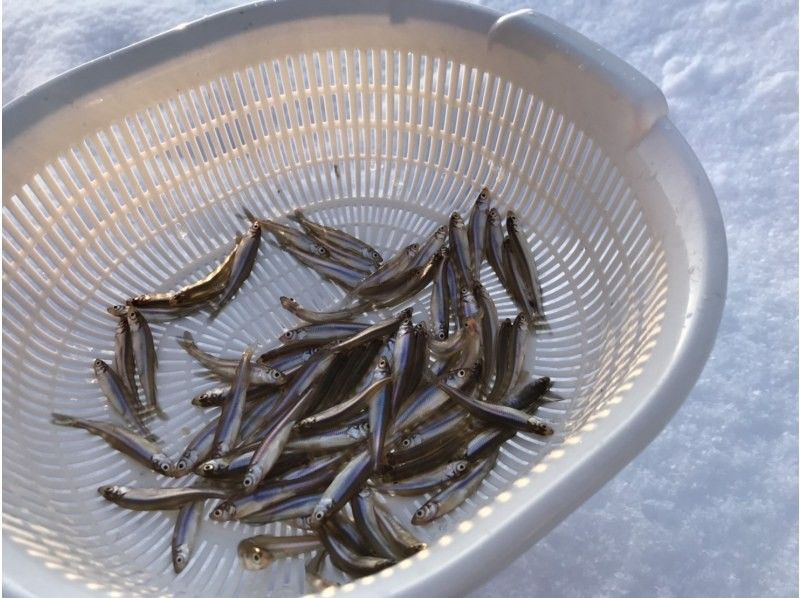 [Hokkaido / Sapporo suburbs] With transportation! Comfortable in a chartered fishing spot and a hut with a stove! Genghis Khan & Smelt tempura tasting included! Half-day premium smelt fishing tourの紹介画像