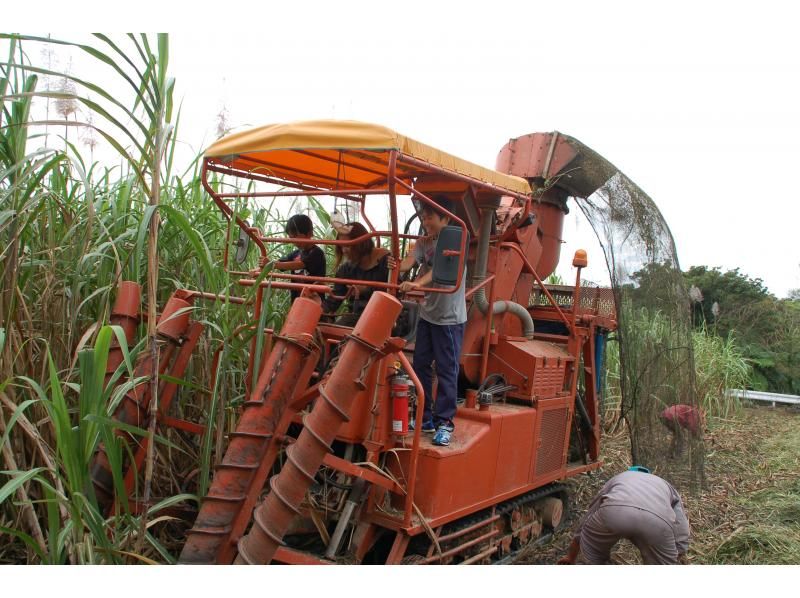 [ 오키나와 · 본부] 박력 만점! 거대한 사탕 수수 수확 농기계 "수확기"조종 체험の紹介画像