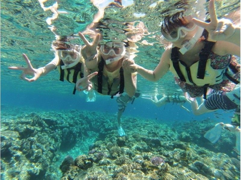[沖縄·北方區域/ Minnajima]船浮潛和海水浴場著陸日課程の紹介画像