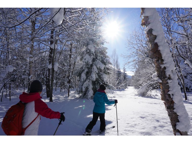 [Niseko, Hokkaido] Completely chartered snow hike tour limited to one groupの紹介画像