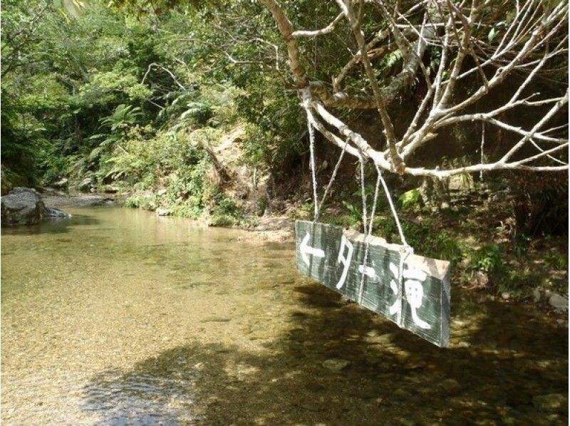 【沖縄・やんばる】ヤンバルクイナの観察と早朝の奥深い緑の自然豊かなやんばるを散策ツアー（1日コース）の紹介画像