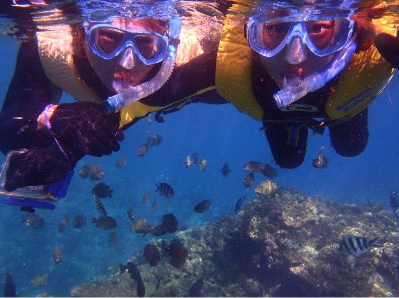[โอกินาว่าChatan] เรือนอกชายฝั่งของ Alaha ดำน้ำพร้อมภาพถ่ายใต้น้ำ [1 ชั่วโมงการดำน้ำตื้น(Snorkeling)]の紹介画像