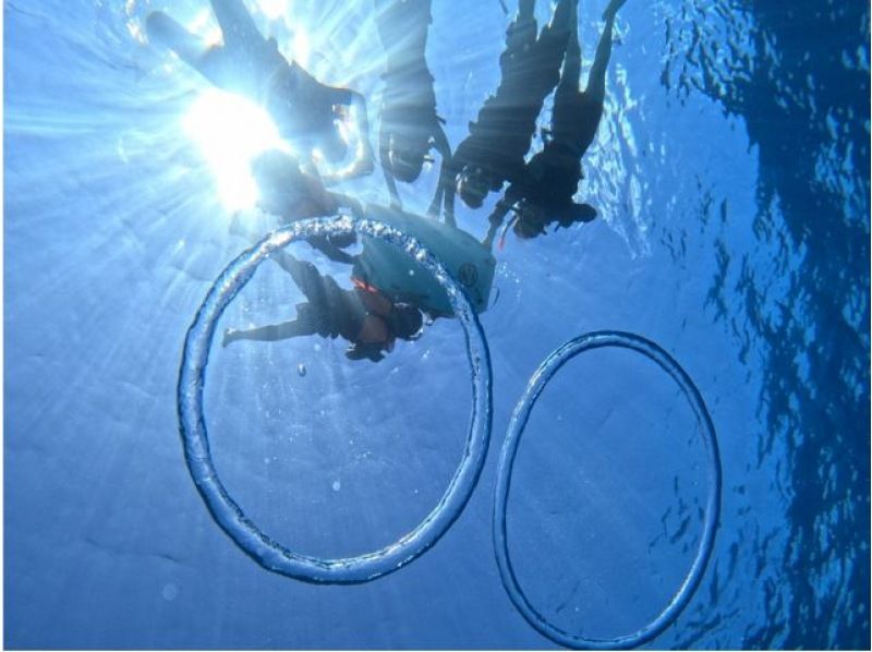 [Winter only] Minnajima boat snorkeling - Enjoy it even in winter! (5mm wetsuit included! Free download of 4K camera GoPro footage included)の紹介画像