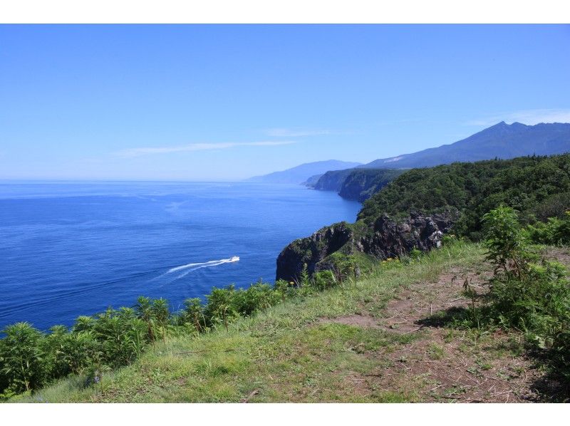 [Hokkaido/ Shiretoko] One set limited charter! "Shiretoko Cape View Tour" with a guide (half-day)With a shuttle bus accommodation!の紹介画像