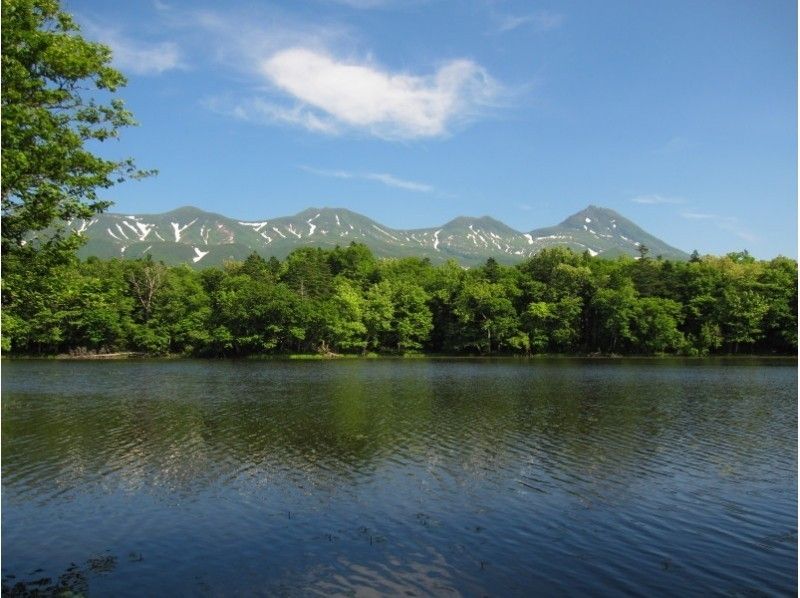 [Hokkaido/ Shiretoko] Trekking-World Natural Heritage Shiretoko / Shiretoko Five Lakes Guide Walk (May 10-July 31)の紹介画像