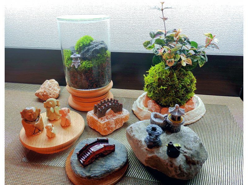 [东京・新宿]享受苔藓1天☆接触天然苔藓的疗愈时刻！苔藓创作经验の紹介画像