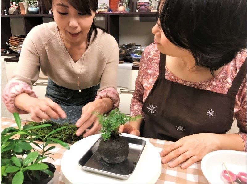 【東京・新宿御苑前駅】苔を楽しむ1日☆苔玉&苔テラリウム(人気セット)創作プラン