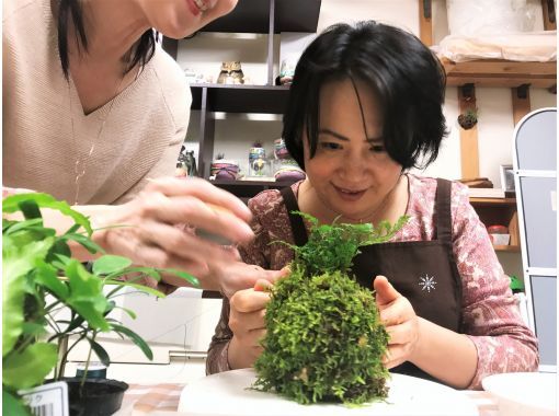 東京 新宿御苑前駅 苔を楽しむ1日 苔玉 苔テラリウム 人気セット 創作プラン アクティビティジャパン