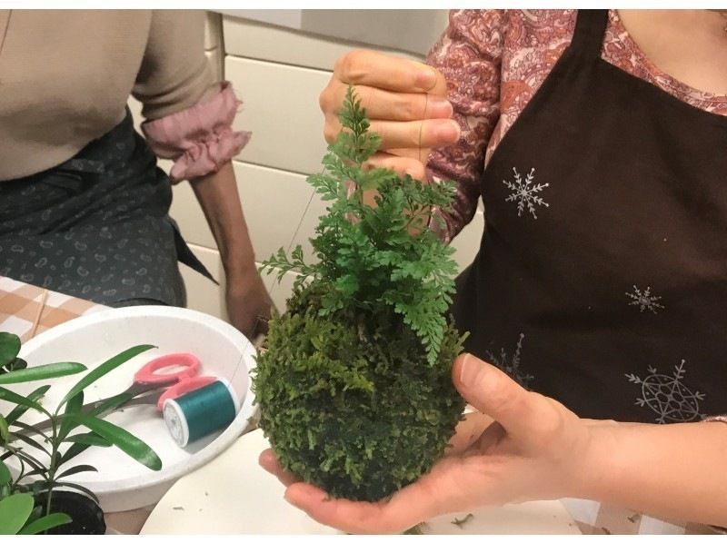 [东京・新宿]享受苔藓1天☆接触天然苔藓的疗愈时刻！苔藓创作经验の紹介画像