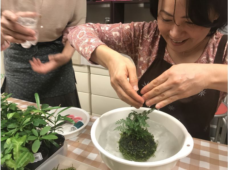 【東京・新宿御苑前駅】苔を楽しむ1日☆苔玉&苔テラリウム(人気セット)創作プラン