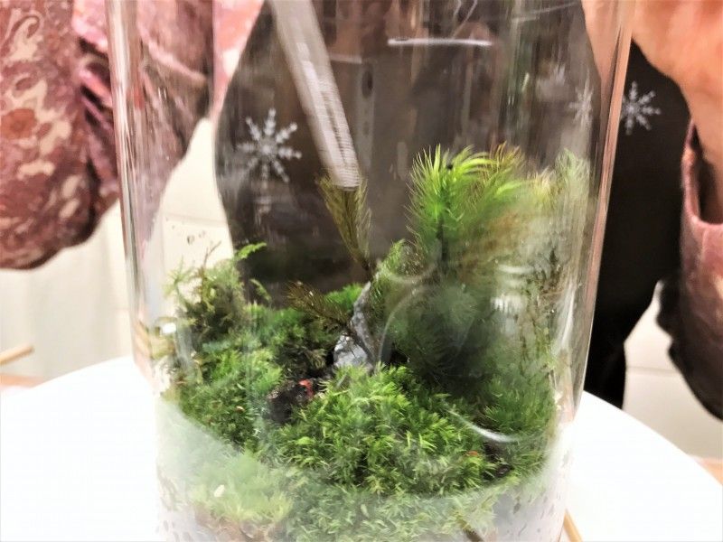 東京の事業者「新宿カルチャースクールいろは」が実施するテラリウム体験の様子