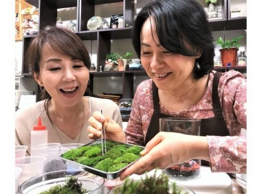 新宿で 苔を楽しむ 1日体験 1日でいろんな天然苔と触れ合うことが出来ます 皆さまの声におこたえし ベランダ等の屋外管理が最適な 苔玉 とお部屋のグリーンインテリアになる 苔テラリウム が一緒体験出来るようになりました コロンと丸くかわいいサイズの 苔玉 づくりからスタート 次の 苔テラリウム はス