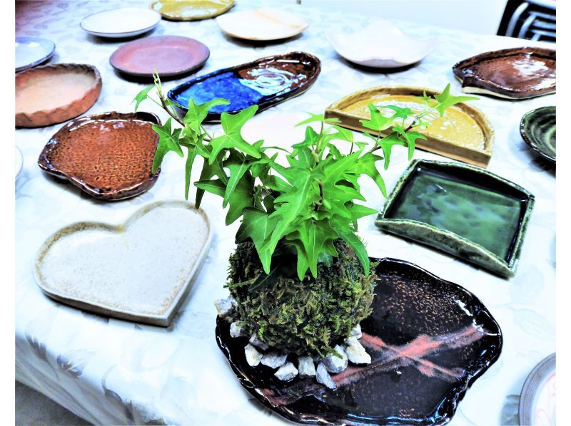 [东京・新宿]享受苔藓1天☆接触天然苔藓的疗愈时刻！苔藓创作经验の紹介画像
