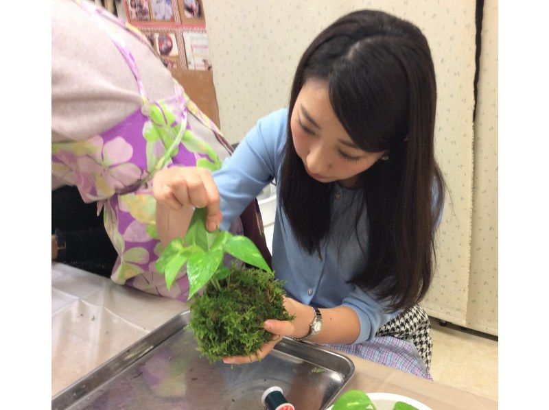 [Tokyo Shinjuku] Shinjuku deals experience plan "Seasonal moss ball making & handmade pottery experience"の紹介画像