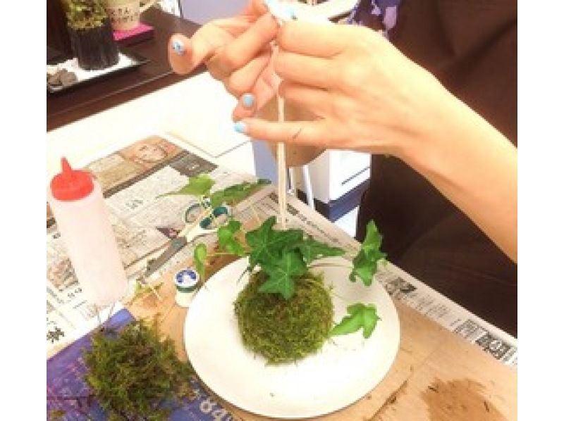 [东京新宿]新宿提供体验计划“季节性苔藓制作和手工陶艺体验”の紹介画像