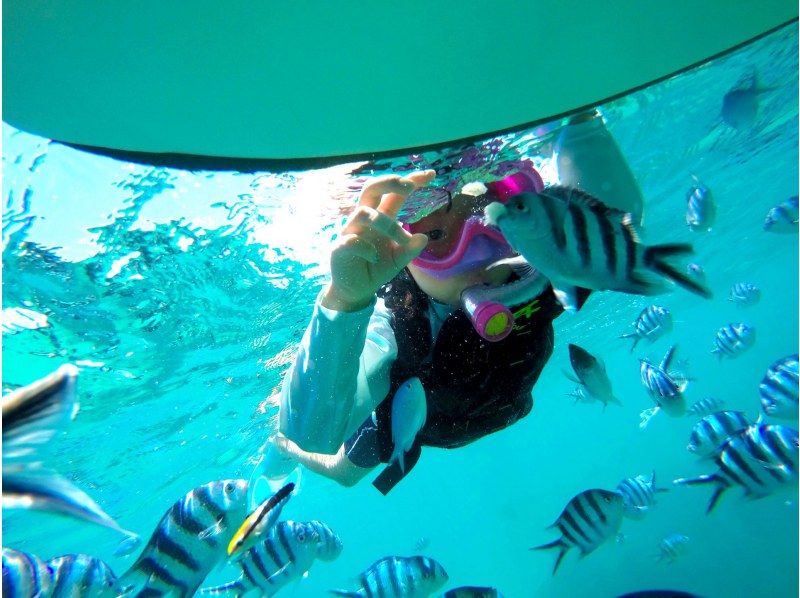 【沖繩本島 | 恩納村】2歲至75歲均可參加！ / 海上野餐與浮潛 | 包含餵食體驗 | 2024 年超級夏日促銷の紹介画像