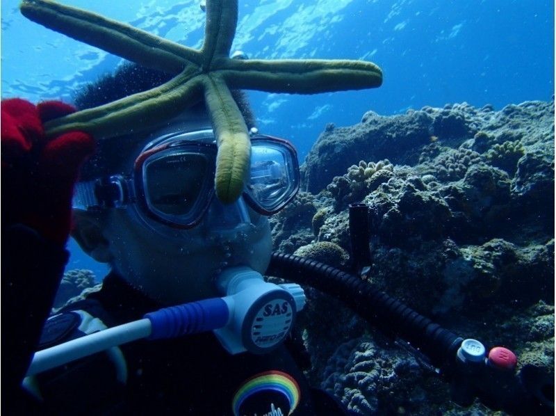 8歲9歲沖縄☆兒童挑戰經驗深潛包括魚飼料和照片拍攝の紹介画像