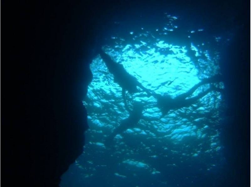 【8歳・9歳、60歳以上の方がいるグループ限定】青の洞窟シュノーケリング＆キッズ体験ダイビング　魚の餌付け＆写真撮影付きの紹介画像