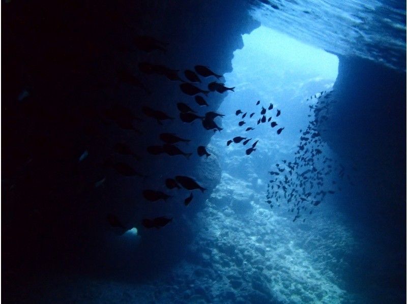 【8歳・9歳、60歳以上の方がいるグループ限定】青の洞窟シュノーケリング＆キッズ体験ダイビング　魚の餌付け＆写真撮影付きの紹介画像