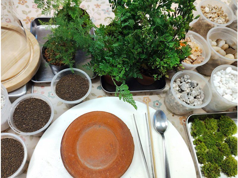 [东京新宿]用天然苔藓装饰房间☆时尚的玻璃（木炭和天然石材）苔藓球の紹介画像